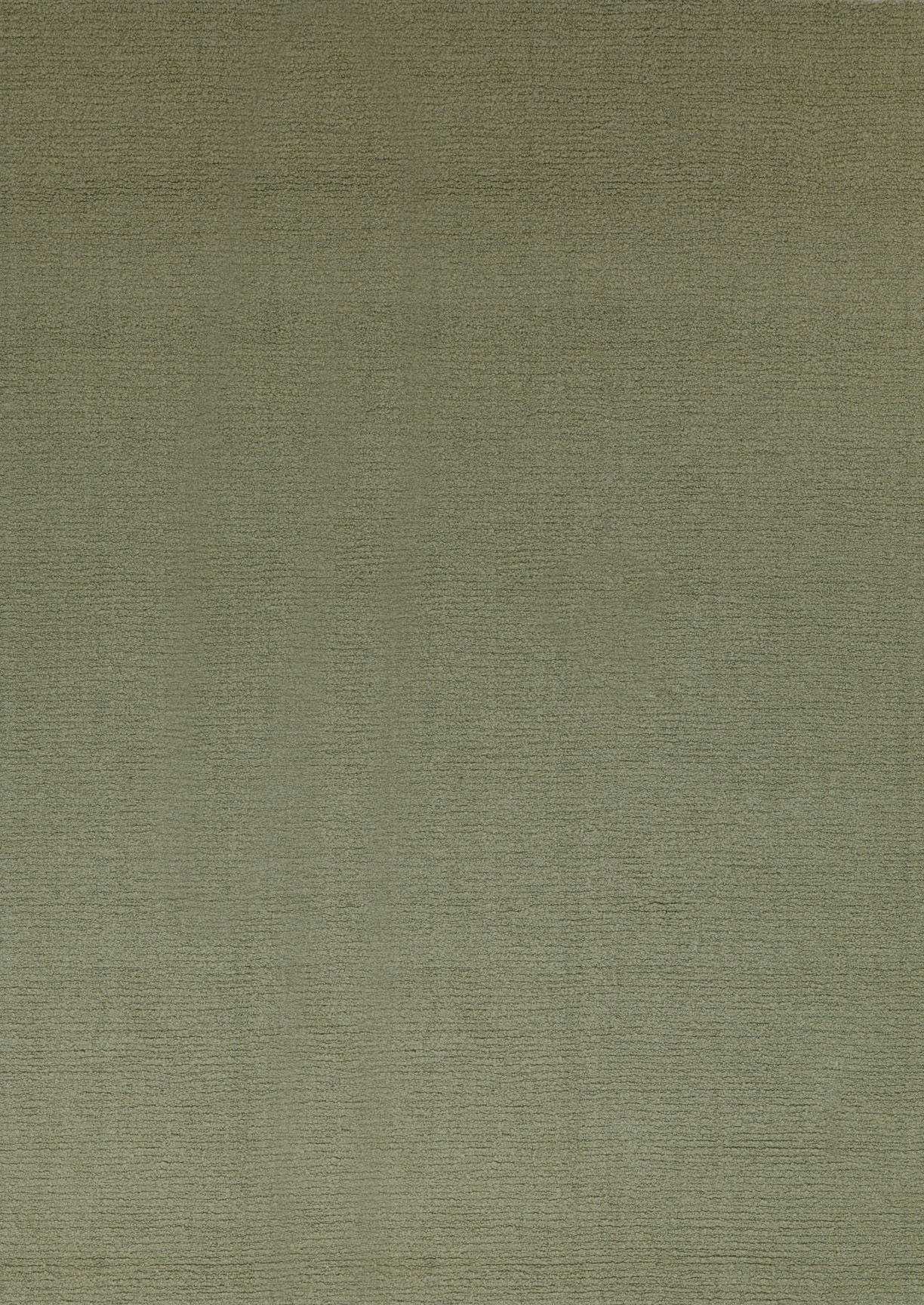 9993 EUCALYPTUS-19