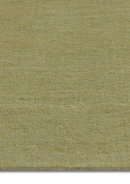 Alpaka Mysore Champagne