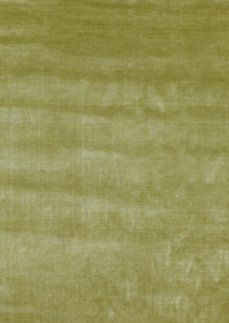 Alpaka mysore Eucalyptus