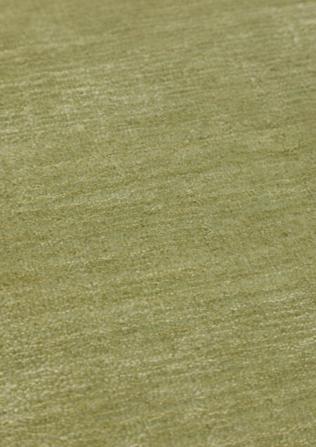 Alpaka mysore Eucalyptus