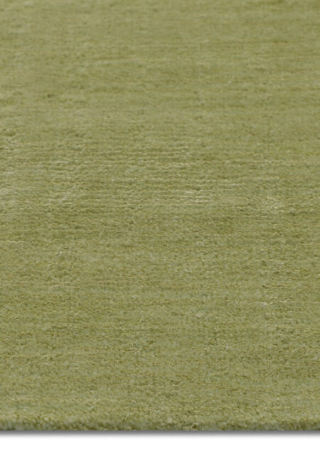 Alpaka mysore Eucalyptus