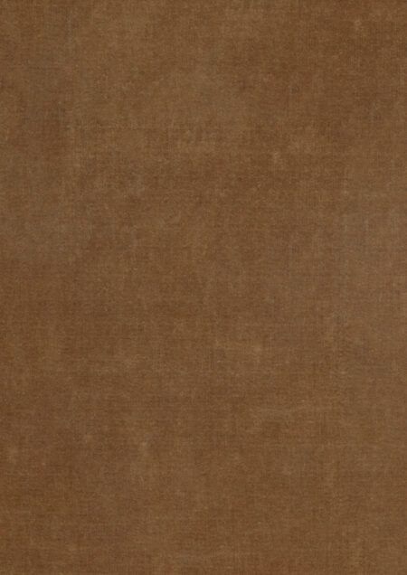 Re Born Manila Harvest