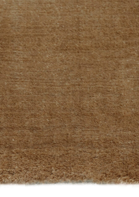 Re Born Manila Harvest