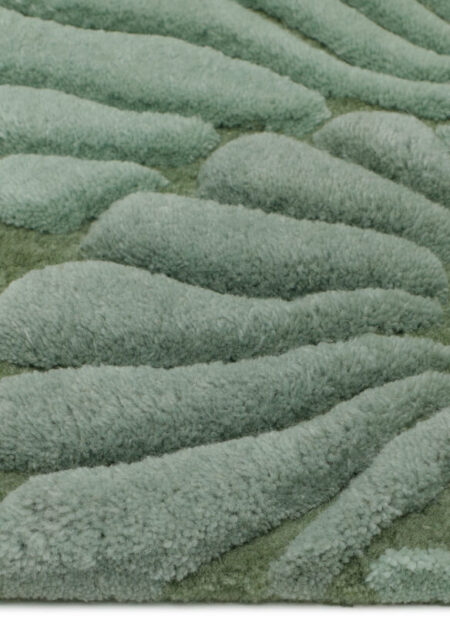 Shell Sage