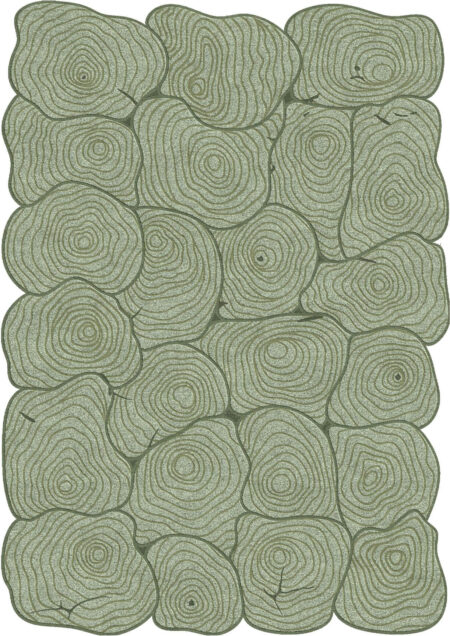 Stump Sage Eucalyptus