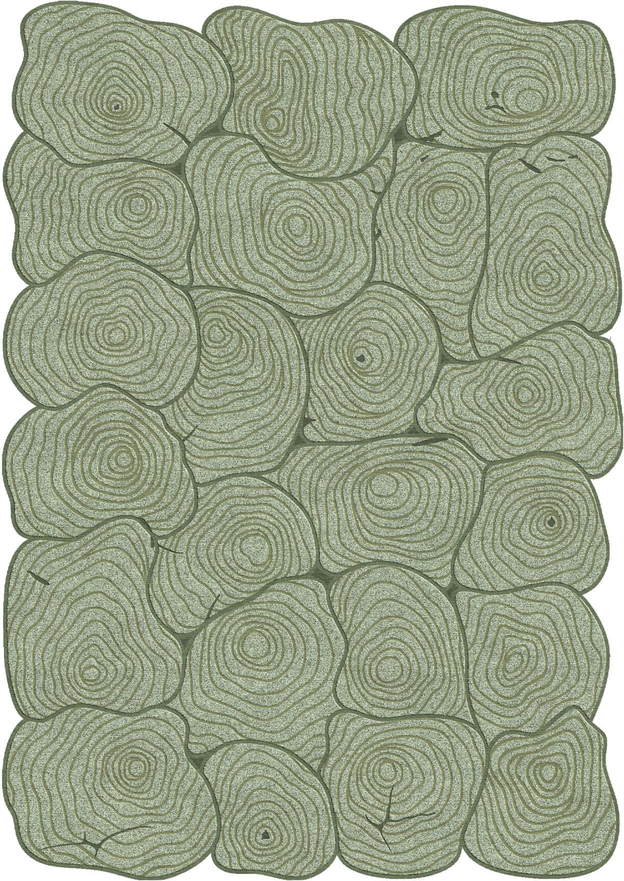 Stump Sage Eucalyptus